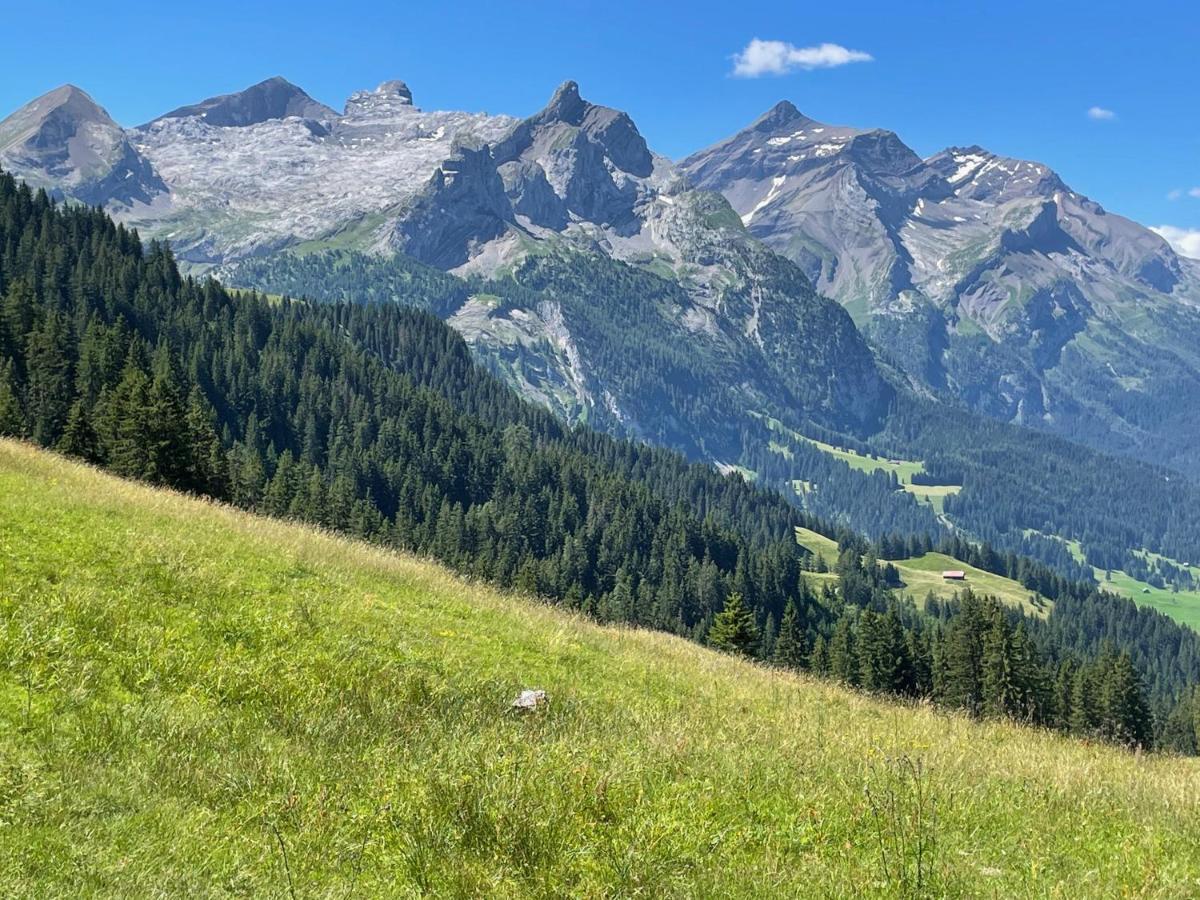 Alpen Charme - Chalet D'Hotes Et Spa Bed and Breakfast Gsteig Esterno foto